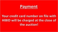 PAYMENT INFO
