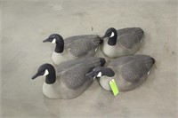 (4) Canadian Geese Decoys