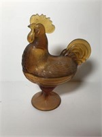 Amber Rooster on Nest