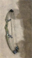 Compound bow- white tail hunter