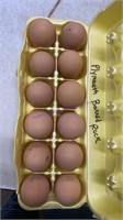 12 Fertile Plymoth Barred Rock Eggs