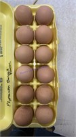 12 Fertile Plymoth Barred Rock Eggs