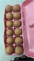 12 Fertile Cuckoo Maran Eggs