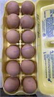 12 Fertile Easter Egger X Silkie Frizzle Gene Eggs
