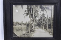 Florida Souvenier Photograph - Lady in rickshaw