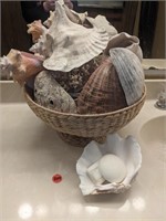 Decorative Sea Shells  (Bathroom)