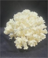 Natural white coral. 5ins
