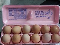 12 farm fresh brown eggs