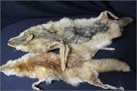 2 Animal Pelts