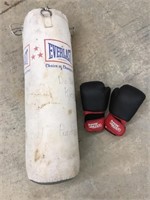 Everlast Punching Bag with Boxing Gloves Lot