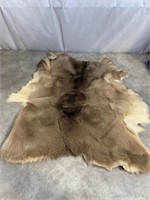 Tanned Deer Hide