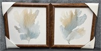 New Pair, Sea Fans, Board Picture Framed in Wood