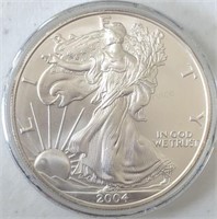 2004-WP Silver Eagle