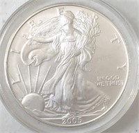 2005-WP Silver Eagle