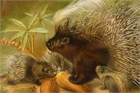 Antique Porcupine Chromolithograph