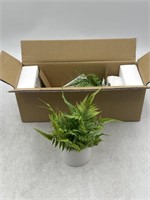 NEW Lot of 2- Realistic Fake Desk Plant