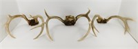 ** 3 Sets of Deer Antlers - (2) 8-Point and (1)