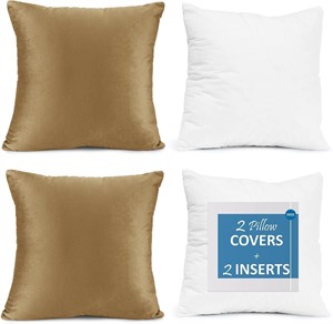Throw Pillow Inserts Pack of 2