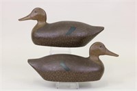 Pair of Black Duck Decoys by Unknown Carver,