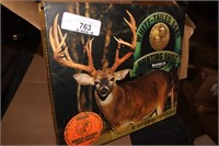 WHITE TAIL DEER BOOK &  BOOKS