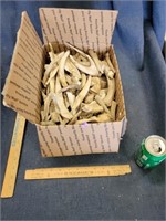 Lot of Deer Antler Pieces, Tines, Cuts