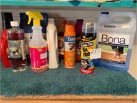 Household Cleaners & Supplies