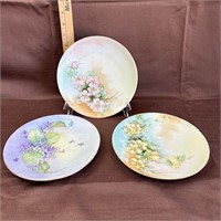 3 Hand Painted Floral Porcelain Plates