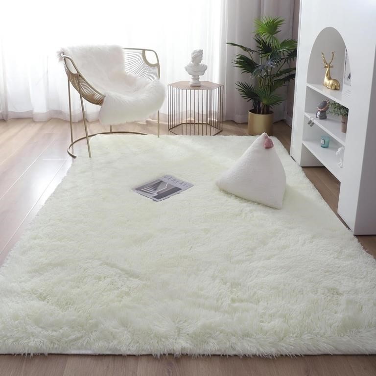 Soft and Fluffy Area Rug, 4 X 5.3 Ft