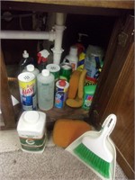 All Cleaning Supplies Pictured Under Garage Sink