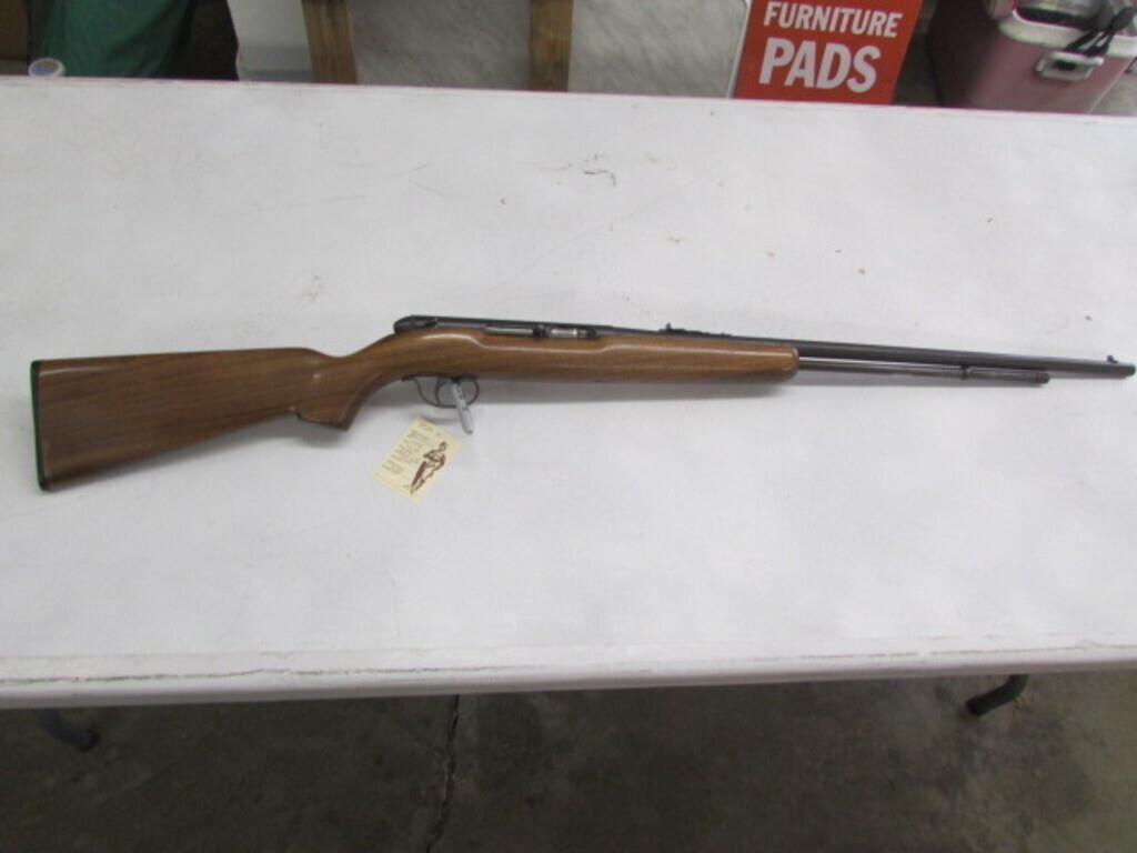 Remington  22 cal rifle