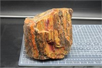 Arizona Petrified Wood 8lbs 9ozs