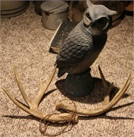 Owl decoy and set of rattle antlers