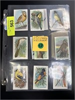 LARGE LOT OF ARM & HAMMER BIRDS OF AMERICA CARDS