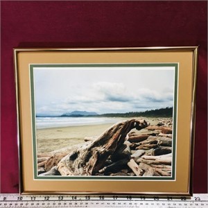Framed Photo Print (10 3/4" x 12 1/2")
