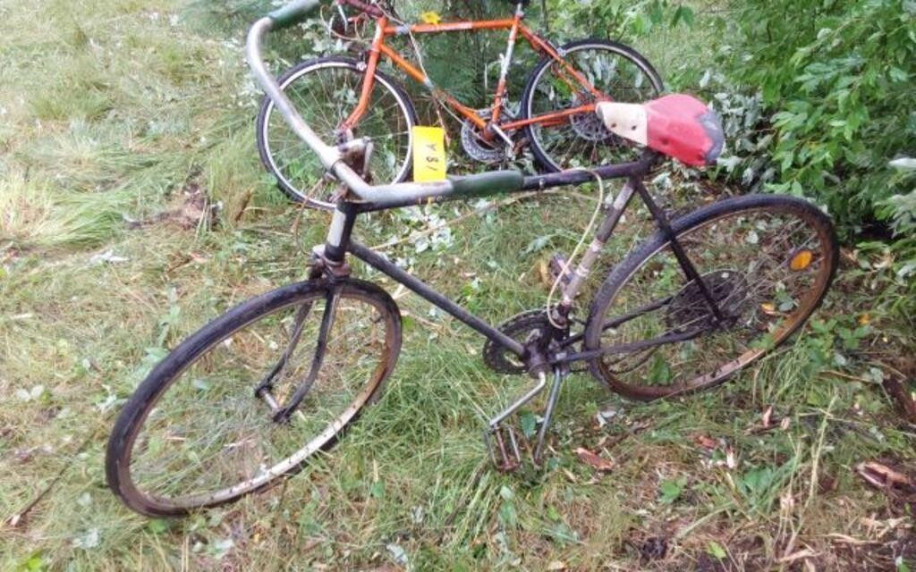 VINTAGE PEDAL BIKE