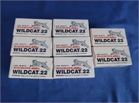 Winchester-Western Wildcat 22 Long Rifle 500 High