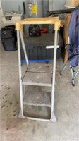 Costco 2 step ladder
