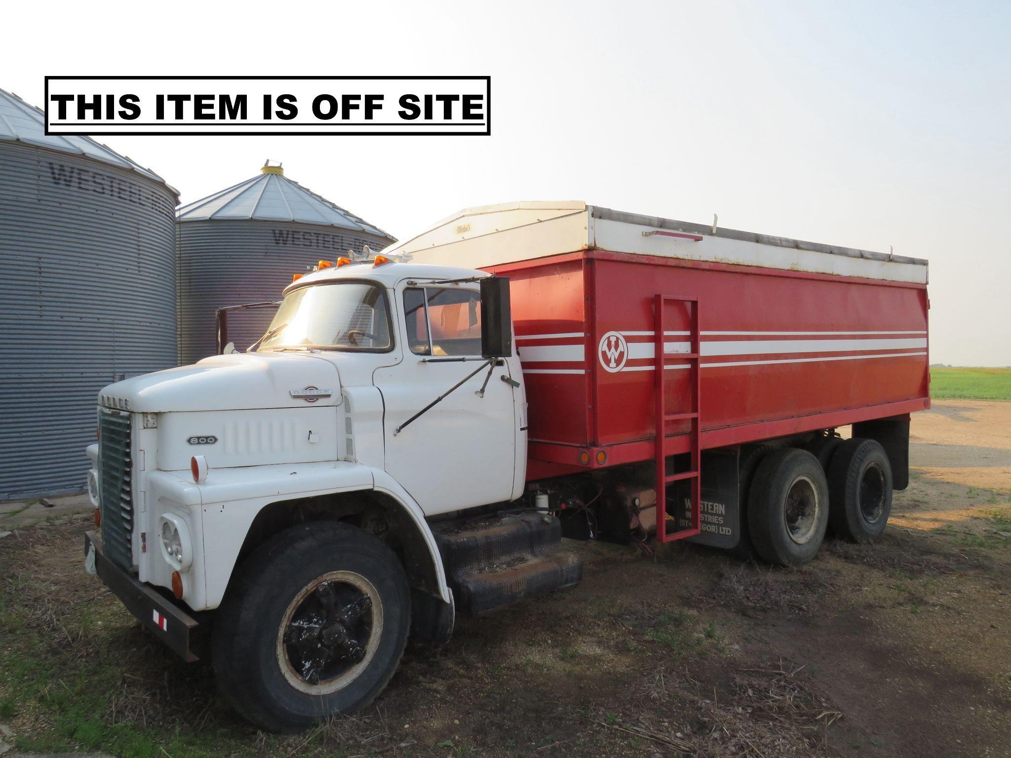 DODGE 800 GRAIN TRUCK / 18' WESTERN INDUSTRIES BOX