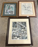 3 Framed Wildlife Prints by Chris Forrest.