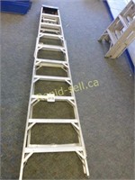 10 Foot Aluminum Featherlite Ladder