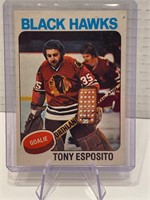 Tony Esposito 1975/76 Card