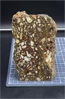 6lb 15oz Polished Pudding Stone Standup Specimen