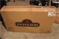 New Napolean Fireplace insert
