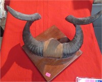 Set of Horns