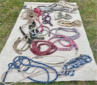 Lot of Used Lead Ropes & Horse Halters