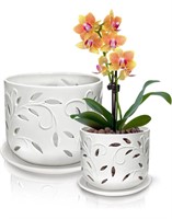 *Orchid Pots With Holes