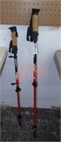 Trailbuddy hiking walking sticks