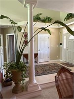 Philodendron Plant and Large Bird of Paradise