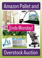 Amazon, Wayfair, Lowes PALLET and OVERSTOCK AUCTION ends MON