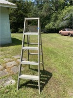 Aluminum Ladder